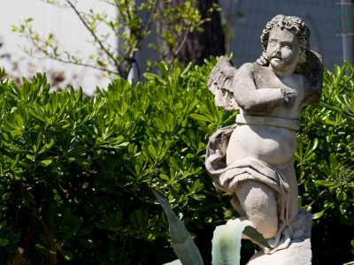Una volta fuori raggiungiamo un giardino situato praticamente all�interno di lama Lamasinata, l�ex fiume che affianca l�abbazia. Tra statuette di angeli...